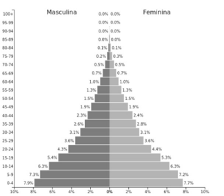Pirâmide etária do Brasil em 1970IBGE. Perfil demográfico... - Gran ...