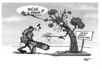 Imagem associada para resolução da questão