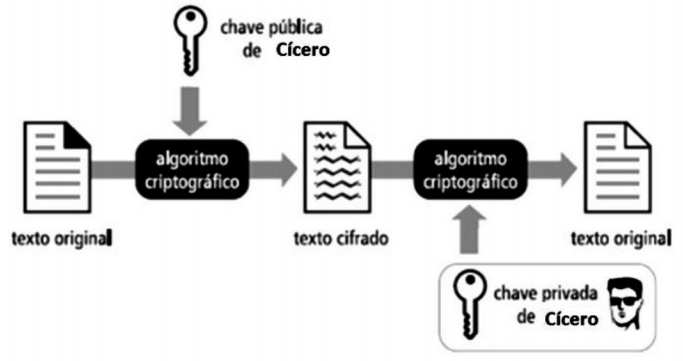 Imagem associada para resolução da questão