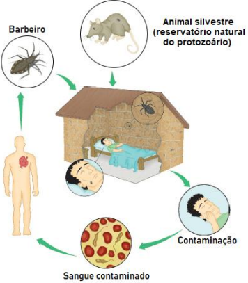 Imagem associada para resolução da questão
