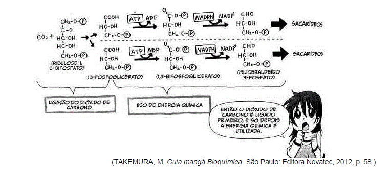 Imagem associada para resolução da questão